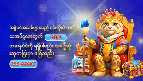 တတိယအပ်ငွေ ၃၀%